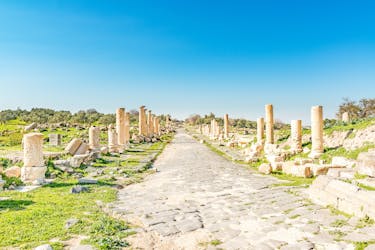 Tour privato di Jerash e Umm Qais dal Mar Morto